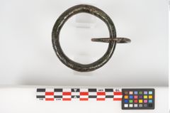Foto von Bronzegehänge (NHMW-PRAE-026148)